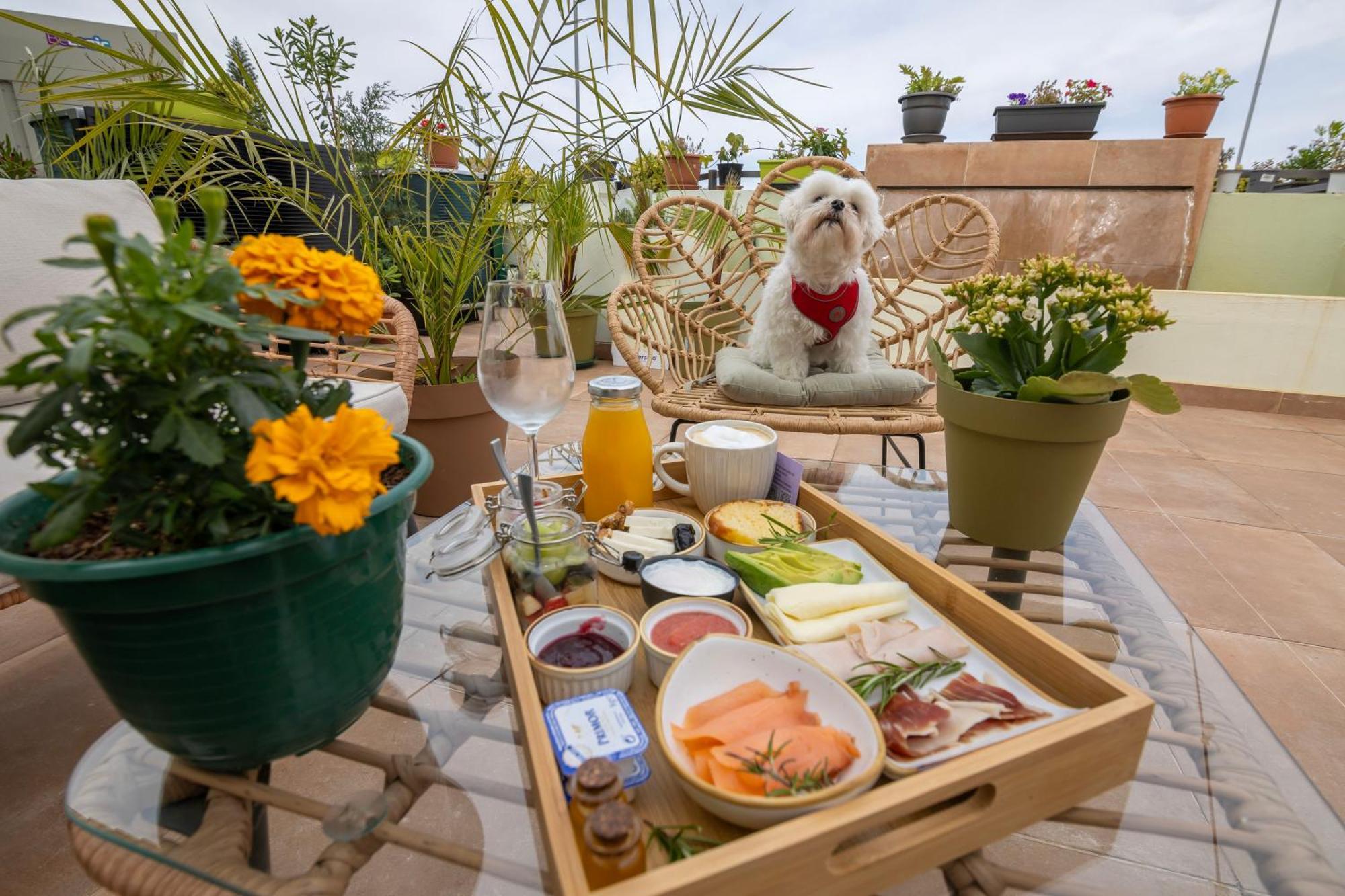 Growersgo Boutique Hostel Huelva Dış mekan fotoğraf